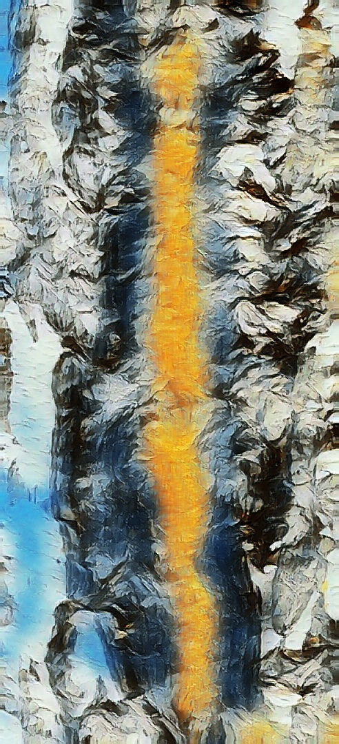 树干--抽象之美