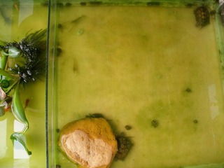 P3200008 - 副本.JPG