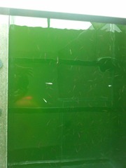 2012-06-25_10-09-36_882.jpg