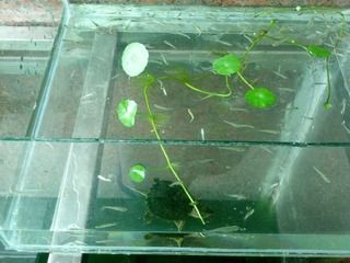 2012-06-25_10-09-49_569.jpg