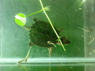2012-06-25_10-10-03_266.jpg