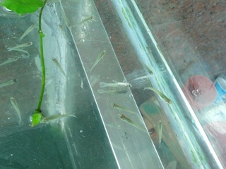 2012-06-25_10-10-17_502.jpg