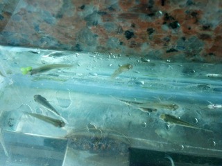 2012-06-25_10-10-31_535.jpg
