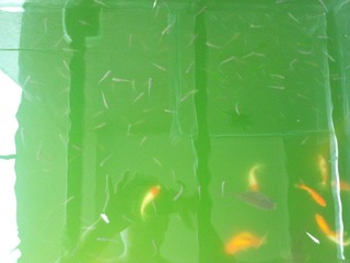 2012-06-25_10-10-46_566.jpg