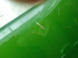 2012-06-25_10-11-00_962.jpg