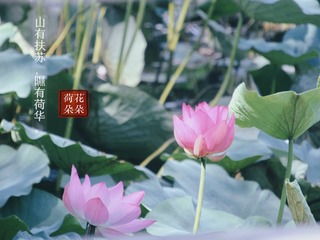 01B5F7C8-3FE2-4DCE-B9CD-9E2784F0C1C3/L0/001