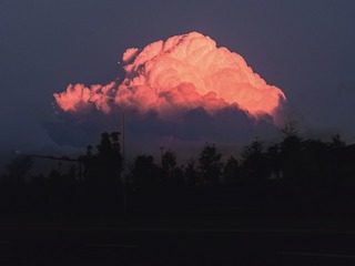 1430019