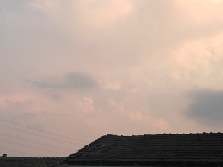 1192660