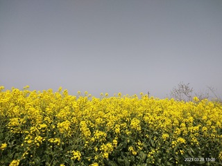 1880171