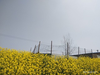 1880146
