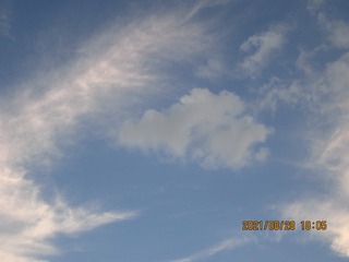 BB549732-E0F8-4500-AB8E-B7699C4AD923/L0/001