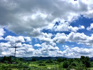557C6E78-2E8A-46CF-B6DF-A41AE57C97FE/L0/001