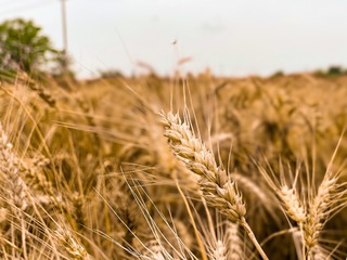 1AB87770-B489-4F66-8DF2-024D1F988A44/L0/001