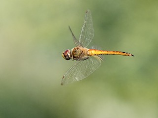 EF240852-F54C-4600-8E97-0CD8F194B9F1/L0/001