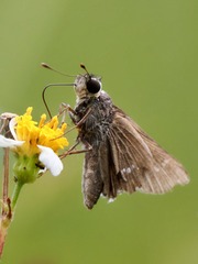 7DDBD377-BEEA-4623-B282-711D1762155A/L0/001