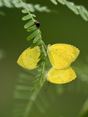 DD25A349-BD6C-4666-85FB-D341B46B45E7/L0/001