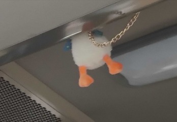 256