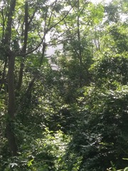 36060