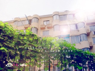 RIMG0368.jpg