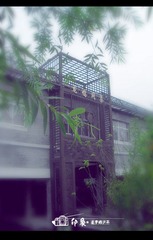 RIMG0725.jpg