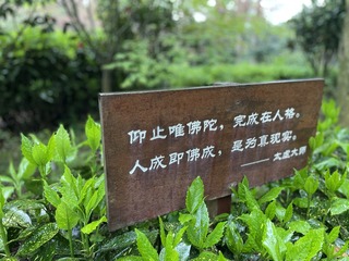 591E8601-FA86-4B6D-B07D-29D8F590C887/L0/001