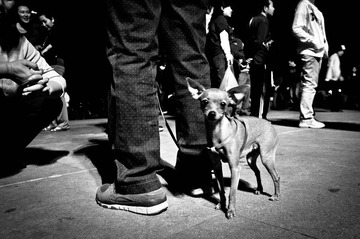 _DSC0071