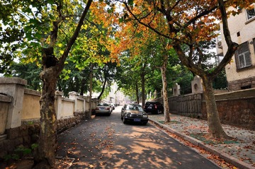 20101001-_DSC0166