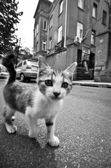 20101001-_DSC0076