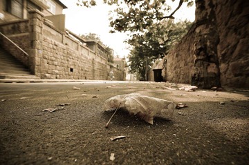 20101001-_DSC0129