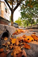 20101001-_DSC0154