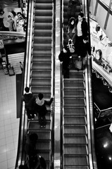 _DSC0146-1