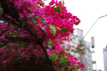 IMGP1036.JPG