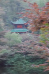 9B77DC6F-C0A1-4459-99B3-5E7A2DD5266A/L0/001