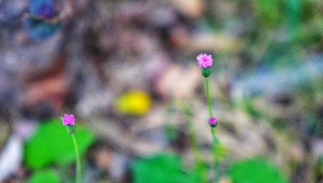 5B869043-1BD1-40B2-A27E-2B17C7ECCBC5/L0/001