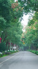 E3561C6A-D222-48B1-A7F5-EF5A3A12D1E1/L0/001