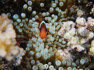 DSCN0425.jpg