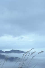 727361