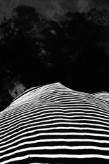 IMAG0312.jpg