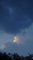 A6E0F5C8-5AE1-421A-924C-3D5F9F6A09AA/L0/001