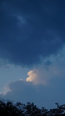A6E0F5C8-5AE1-421A-924C-3D5F9F6A09AA/L0/001