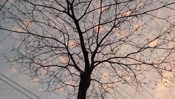 SAM_8112.JPG
