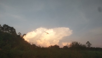 1676407