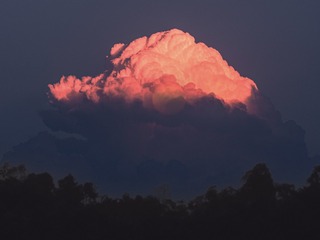 103116
