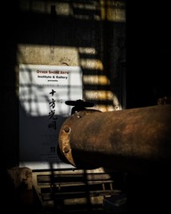284032