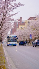 9969CB8F-67F7-4471-9039-CB4B9C8A67A7/L0/001