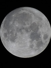 248305