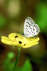 L4360105.jpg