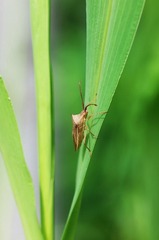 L4360725.jpg