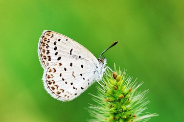L4420277.jpg