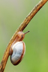 L4420499.jpg